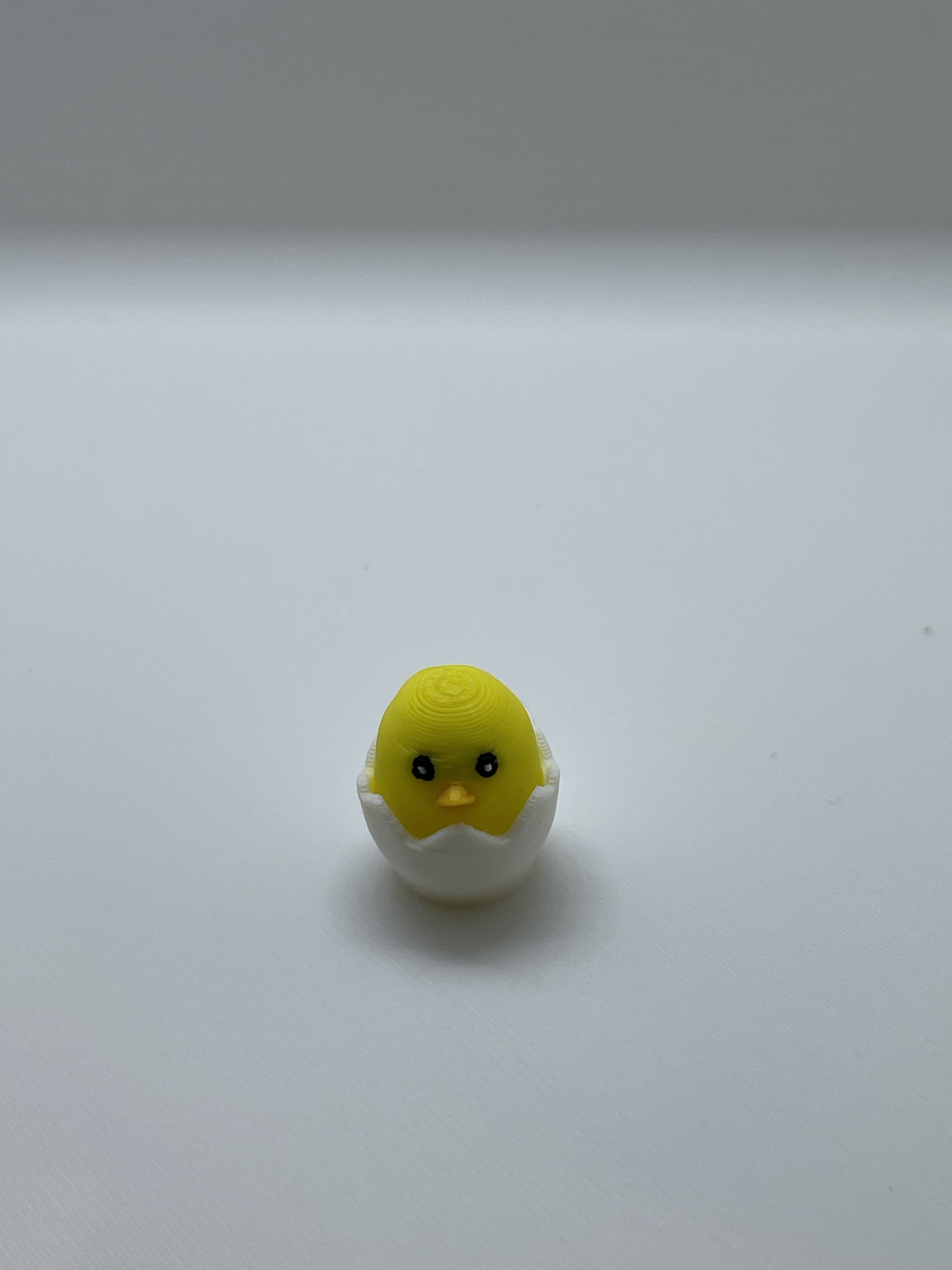 Baby chick in egg