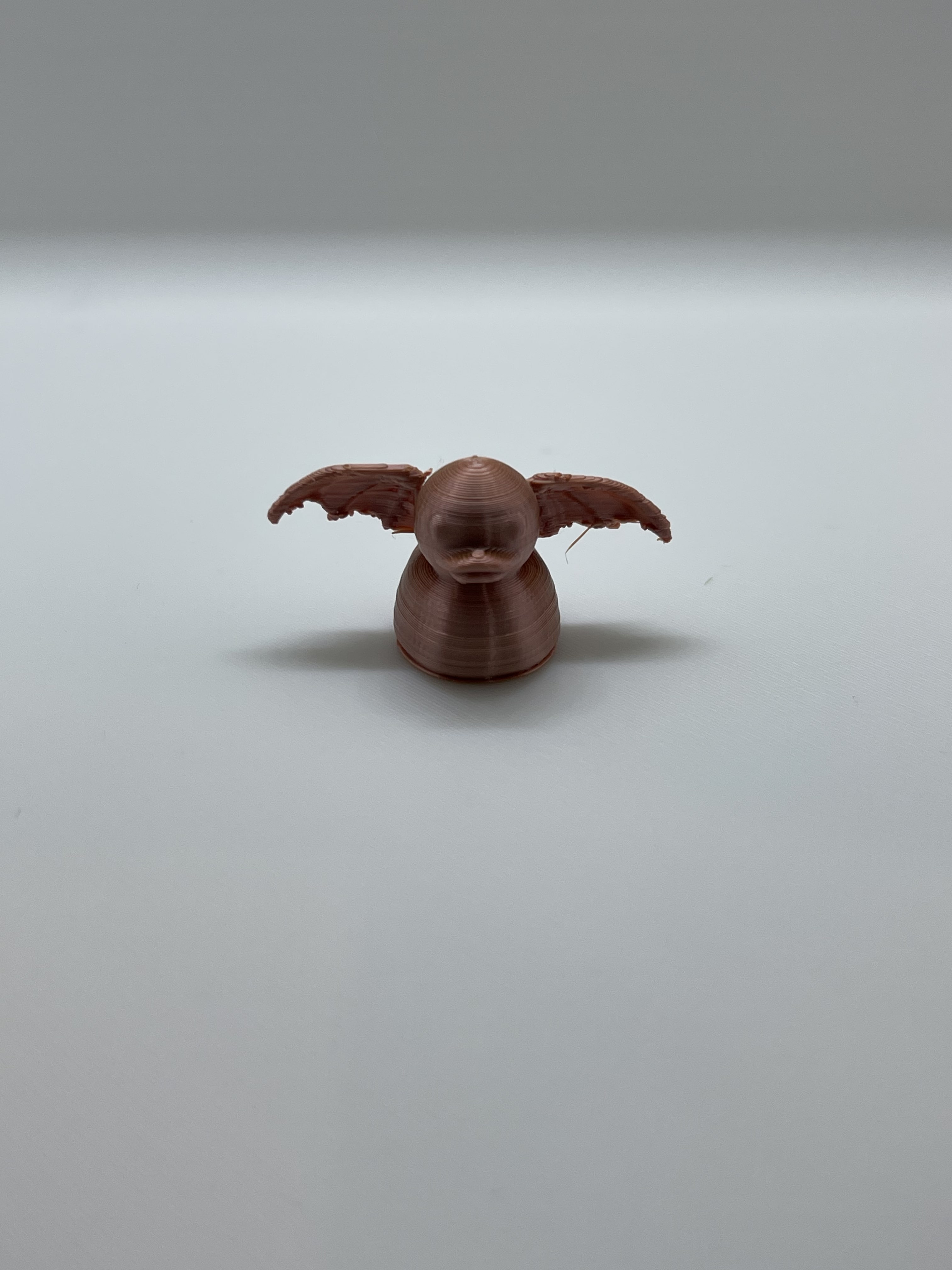 duck wit bat wings